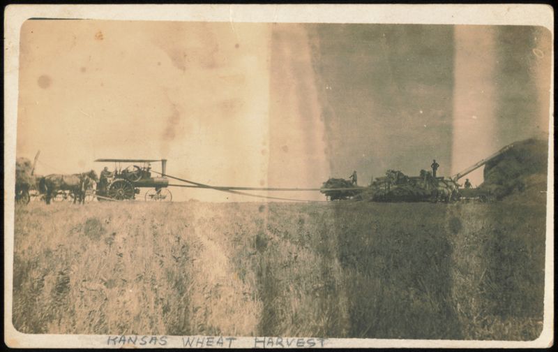 Kansas Wheat Harvest with Steam Traction Engine Parsons