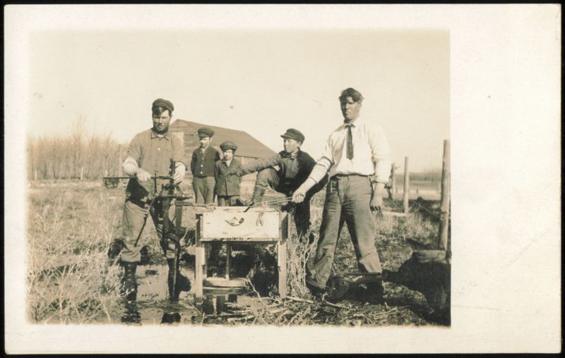 Men and Boys Working with Tools in Field, 1913 Occupational