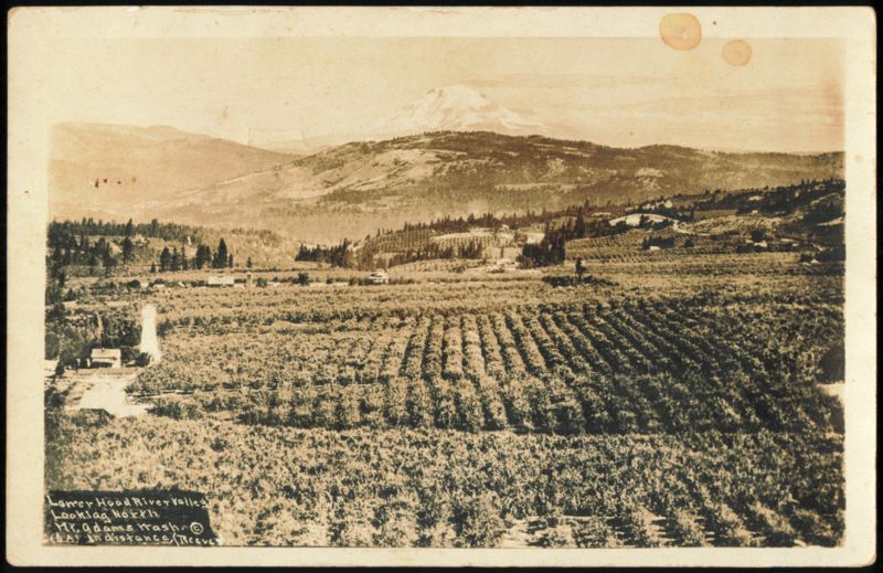 Lower Hood River Valley and Mount Adams, Washington