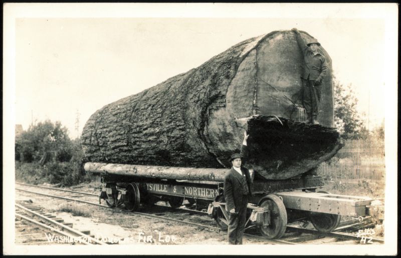 Washington Douglas Fir Log on Marysville & Northern Train