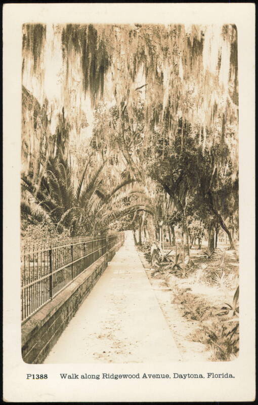Walk along Ridgewood Avenue, Daytona, Florida