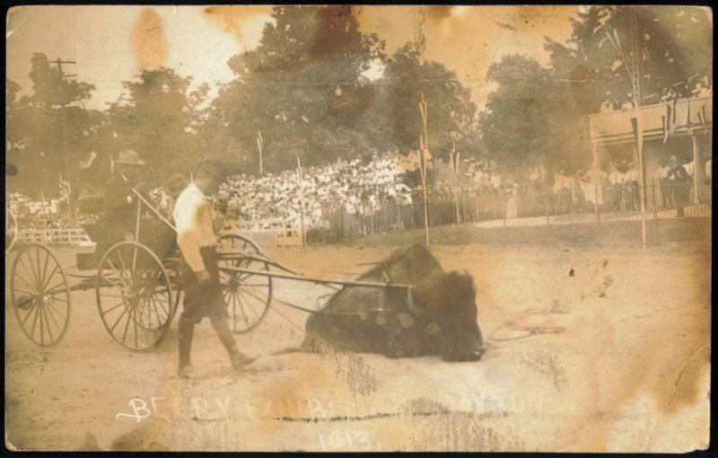 Beery Exhibition with Bison and Carriage, 1913 Dayton Ohio