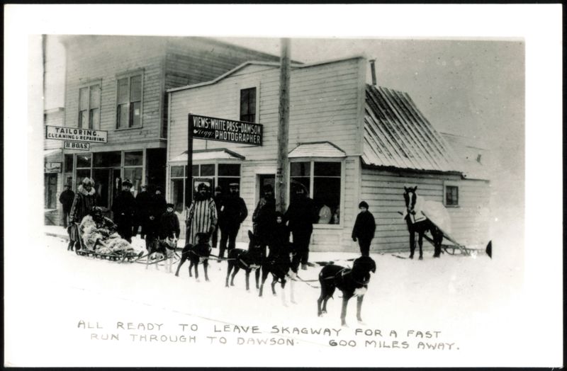 Dog Sled Team Ready for Run from Skagway to Dawson Alaska