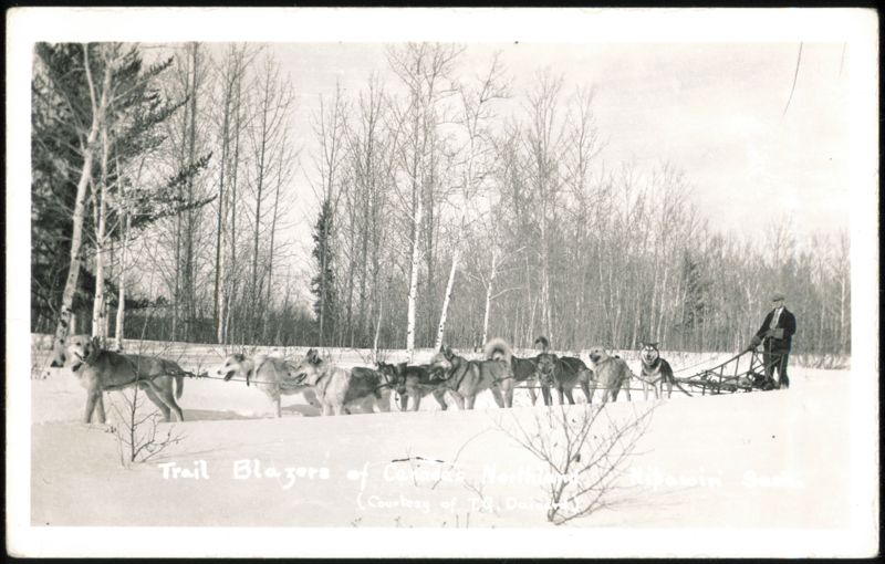 Trail Blazers of Canada's Northland Dog Sled Team Nipawin SK