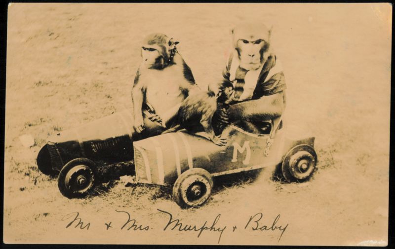 Mr. and Mrs. Murphy and Baby Monkeys in Toy Car New York