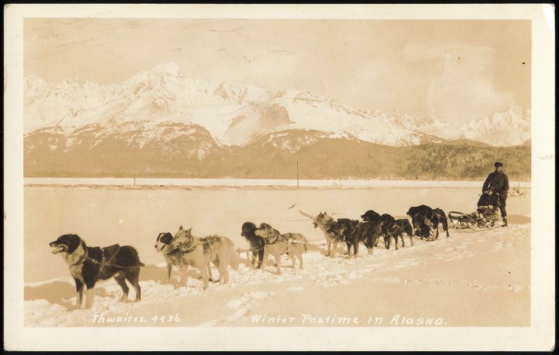 Dog Sled Team in Alaska Winter Landscape Thwaites Dogs