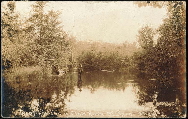 Trout Fishing in Clam River, McBain, Michigan