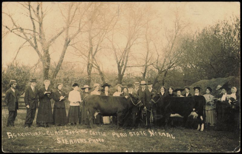 Agricultural Class Judging Cattle, Peru State Normal Nebraska