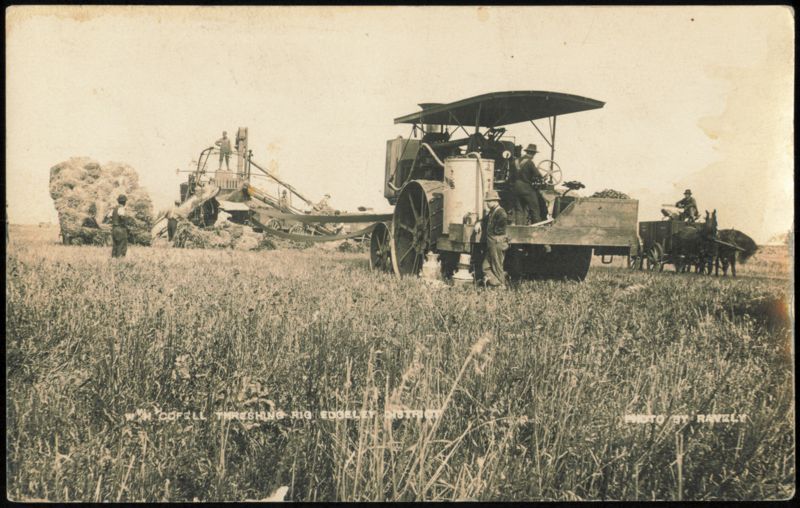 W.H. Cofell Threshing Rig, Edgeley District North Dakota