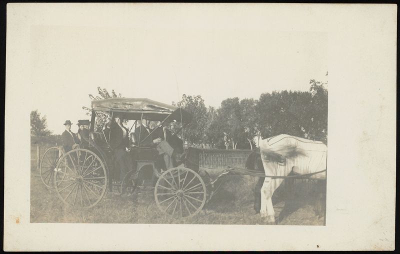 Group of People in Horse-Drawn Carriage