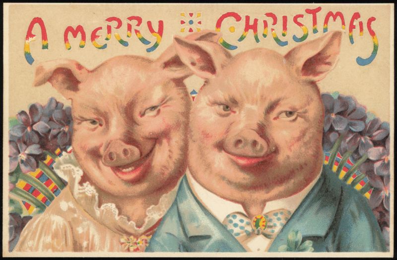 Merry Christmas Anthropomorphic Pigs in Formal Attire