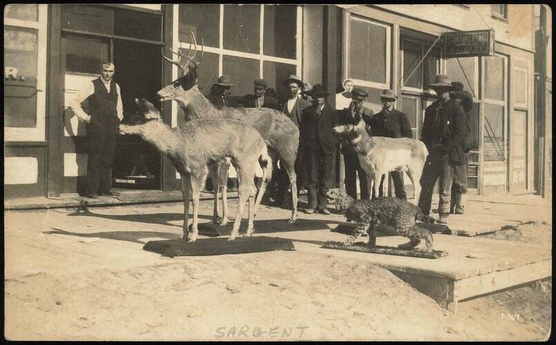 Men with Taxidermy Deer and Bobcat in Sargent, Wyoming Saratoga