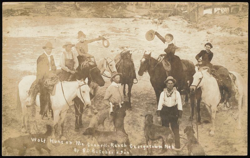 Wolf Hunt on McConnell Ranch, Georgetown, Nebraska