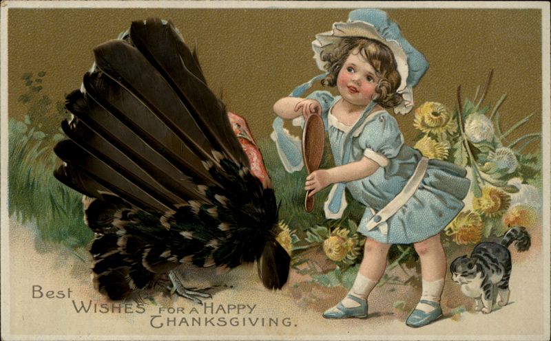 Girl Brushing Turkey Feathers Best Wishes Happy Thanksgiving