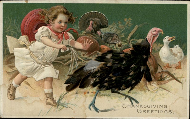 Thanksgiving Greetings Girl Chasing Turkeys and Duck