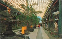 Kapok Tree Inn Entrance Mall, Clearwater, Florida Postcard