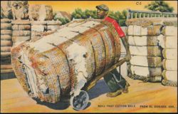 Man Rolling a Cotton Bale, El Dorado, Arkansas Postcard
