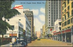 Flagler Street Scene with Walgreen Drugs, Miami Postcard