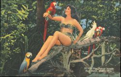 Woman in Leopard Print Swimsuit with Parrots, Parrot Jungle Postcard