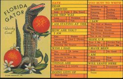 Florida Gator Quicky Card Checklist for Travelers Postcard
