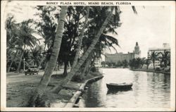 Roney Plaza Hotel, Miami Beach, Florida Postcard