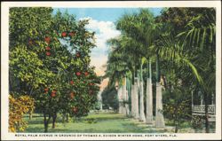 Royal Palm Avenue, Thomas A. Edison Winter Home Postcard