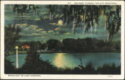Moonlight on Lake Cherokee, Orlando, Florida Postcard