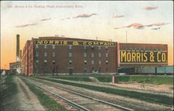 Morris & Co. Packing Plant, Armourdale Postcard