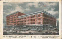 The Denver Dry Goods Co. Store, Fifteenth and California Postcard