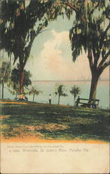 Riverside, St. John's River, Palatka, Florida Postcard