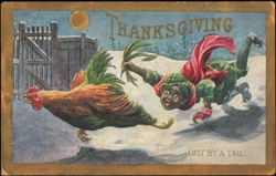 Thanksgiving Lost by a Tail Rooster Chase Illustration Postcard
