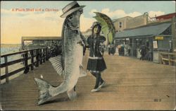 A Plank Shad and a Chicken Boardwalk Scene Postcard