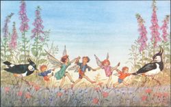 Twilight Dance Fairies and Birds by Molly Brett Postcard