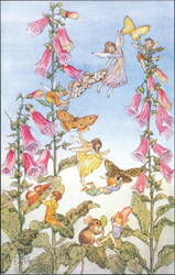 Fairies and Foxgloves by Molly Brett Postcard