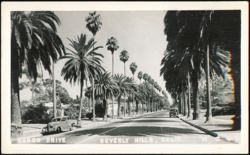 Canon Drive Street Scene, Beverly Hills, California Postcard