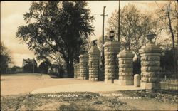Memorial Gate at Forest Park Postcard