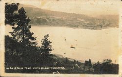 Scene from White Salmon, Washington Postcard