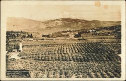 Lower Hood River Valley and Mount Adams, Washington Postcard