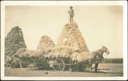 Joe and Anna Leifgen Stacking Grain on Farm Postcard