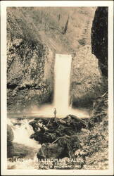 Upper Multnomah Falls, Larch Mountain Trail Postcard