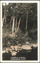 Danola Lodge, Northome, Minnesota Postcard