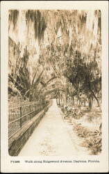 Walk along Ridgewood Avenue, Daytona, Florida Postcard