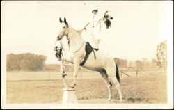 Performer on Horseback at 1914 Topeka Horse Show Postcard