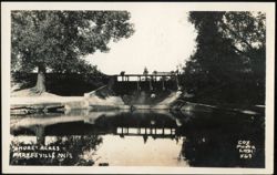 Shore Acres Bridge, Pardeeville, Wisconsin Postcard