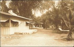Desert Inn Grounds, Palm Springs Postcard