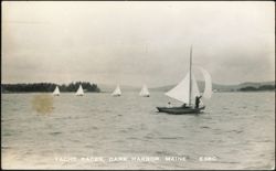 Yacht Races in Dark Harbor, Maine Postcard