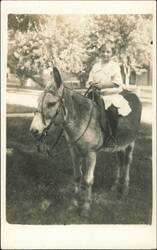 Young Girl Riding a Donkey Postcard