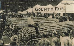 County Fair Corn Contest with Giant Corn Stalks Postcard