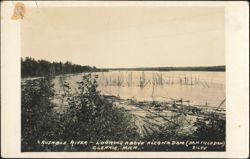 Ausable River Looking Above Alcona Dam, Glennie, Michigan Postcard