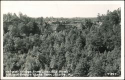 Natural Bridge from Lookout Point, Natural Bridge State Park Postcard